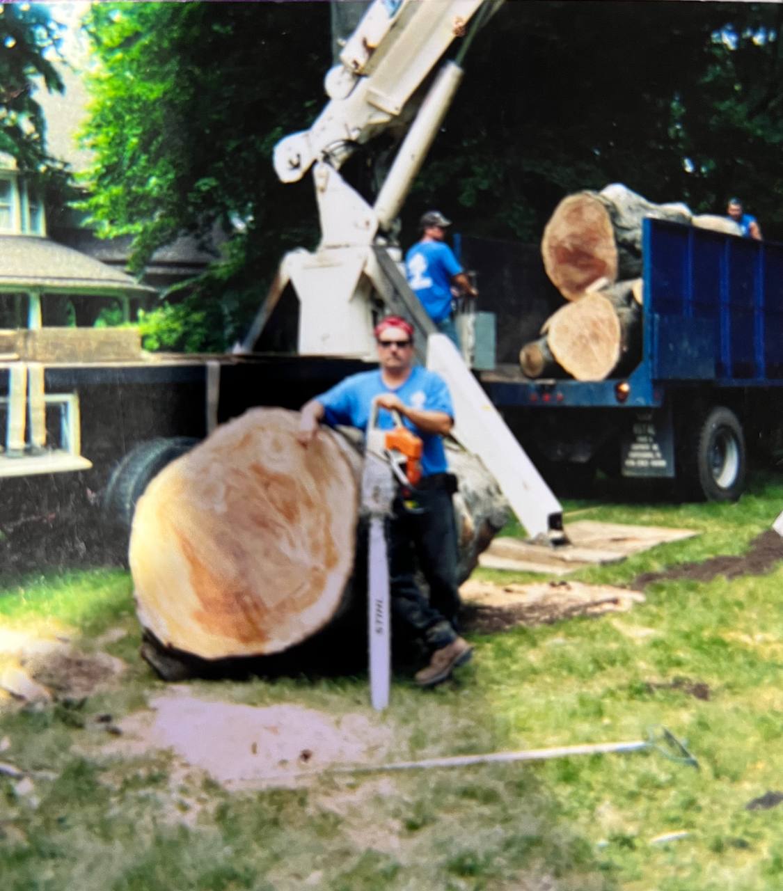 Vintage Disch Tree Experts photo — crew member with Stihl chainsaw next to a massive log section, knuckle-boom truck loaded with cuts behind