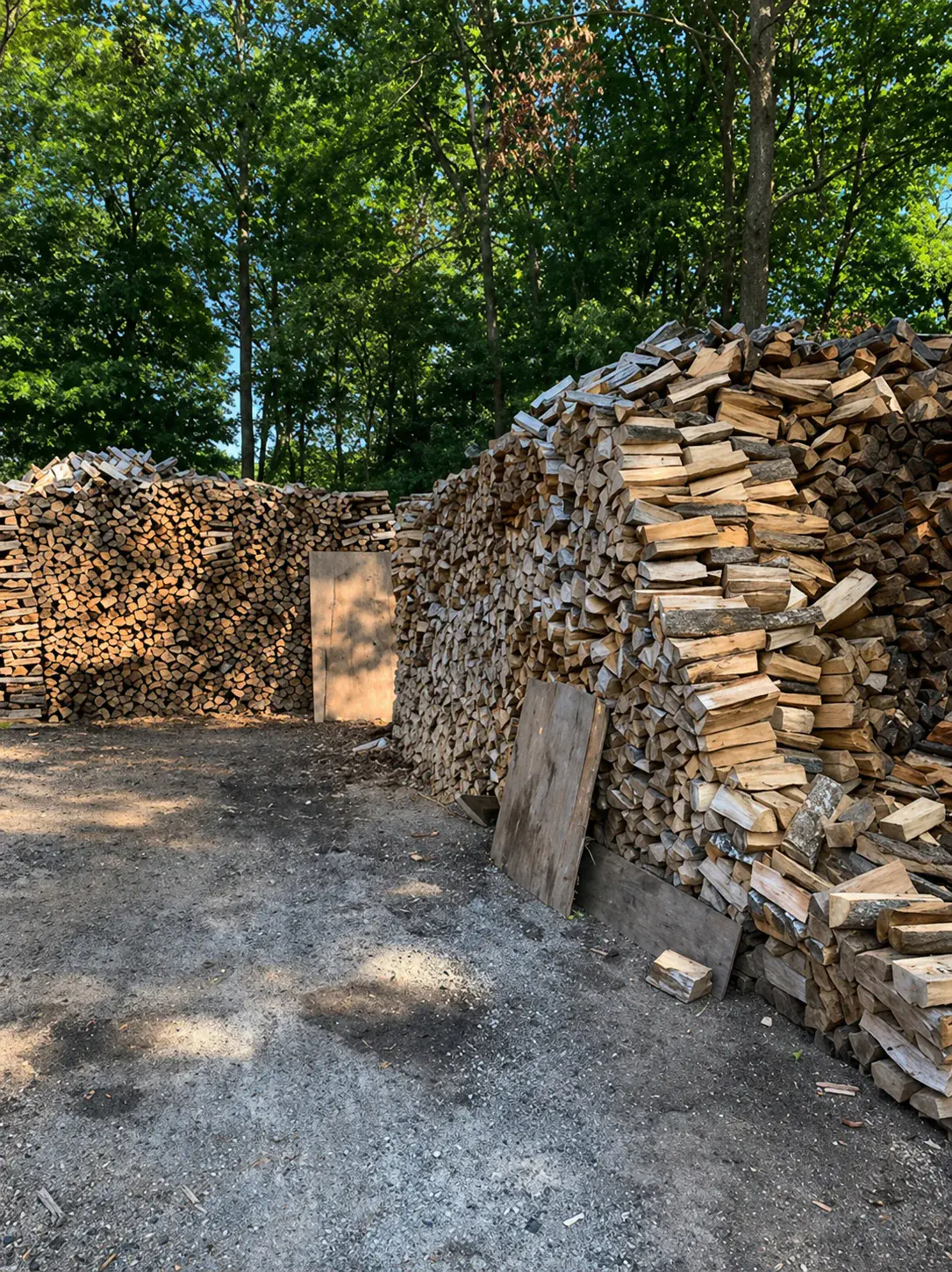 Large stacks of split seasoned firewood available for sale at Disch Tree Experts in Piscataway, NJ